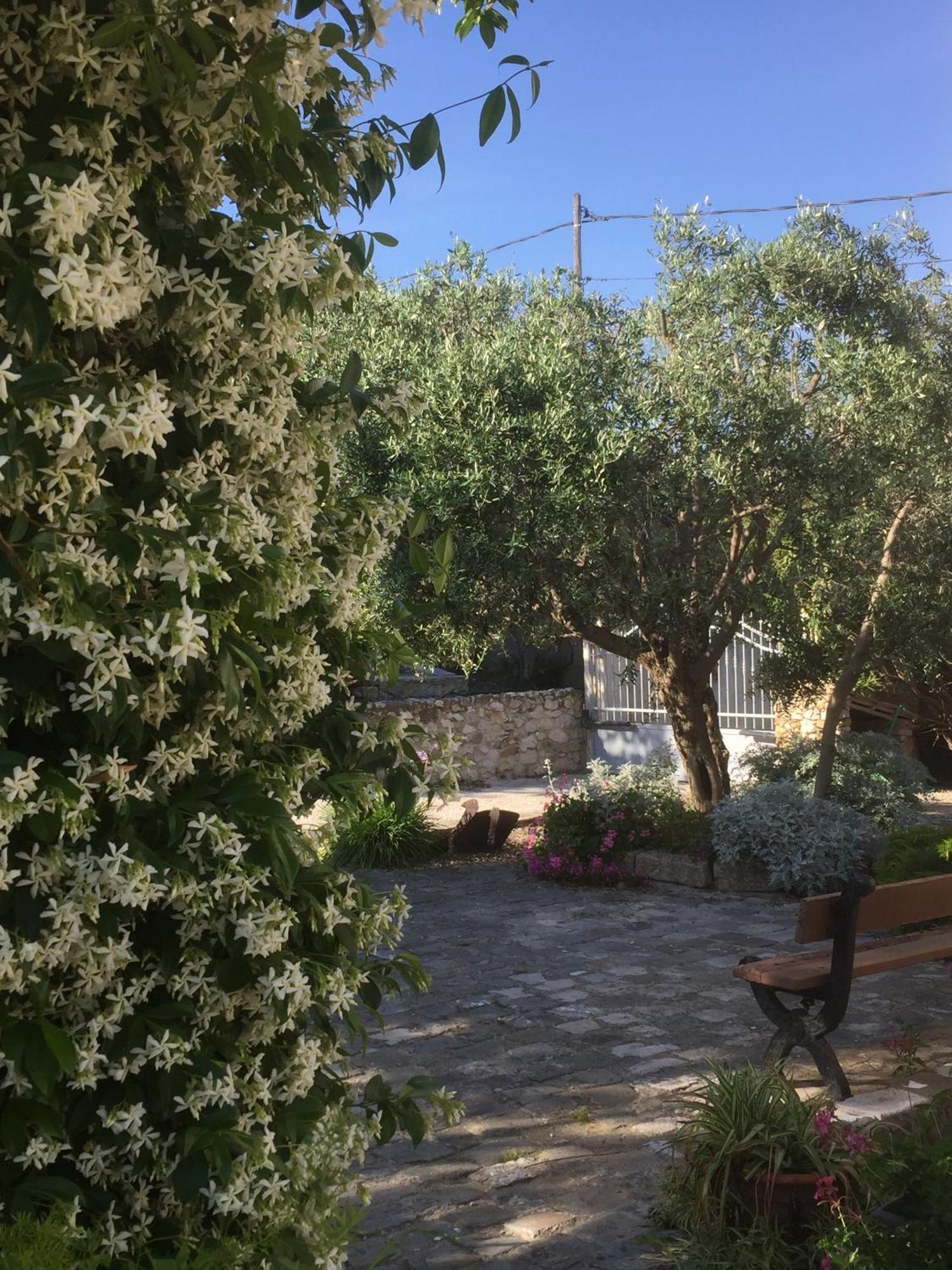 Le Clos Du Jas Μασσαλία Δωμάτιο φωτογραφία
